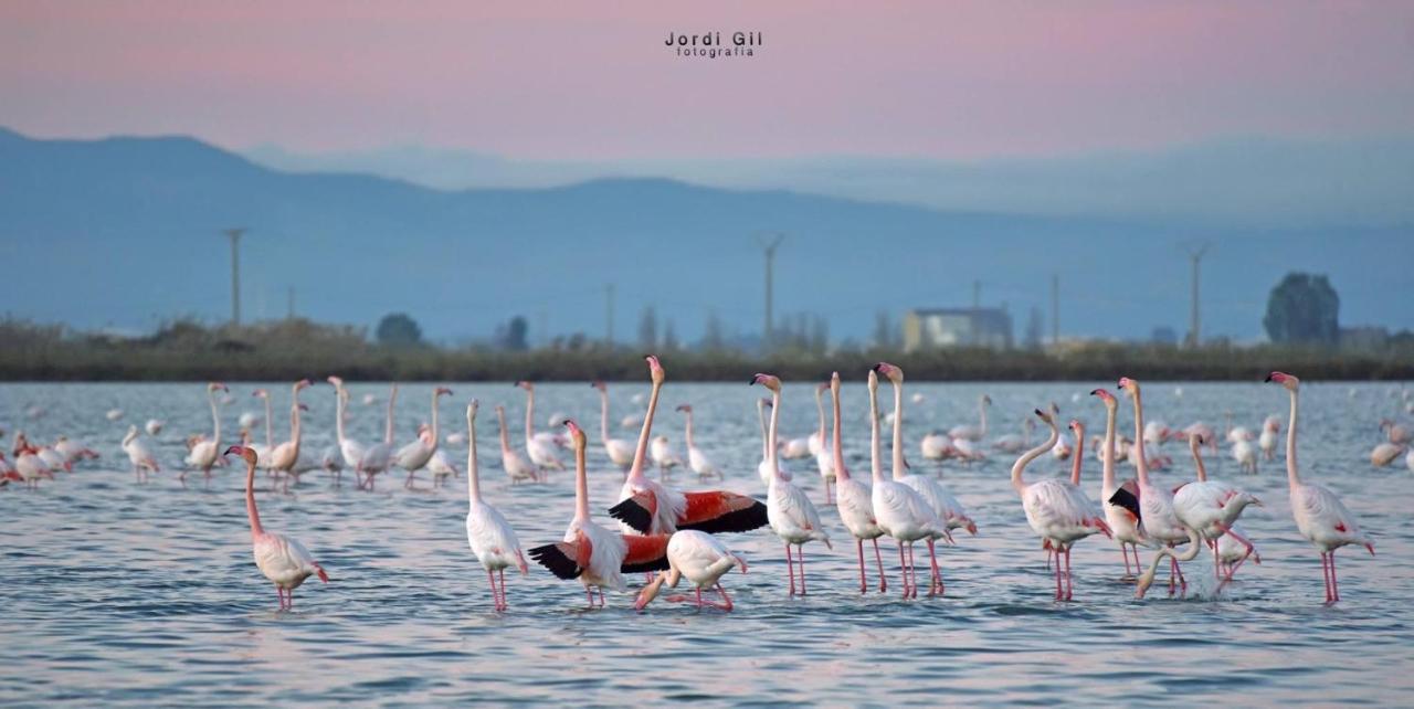 Вілла La Casa De Papel Альканар Екстер'єр фото